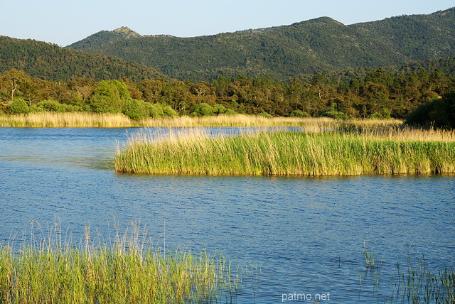 Photographie du lac des Escarcets au printemps dans le Massif des Maures