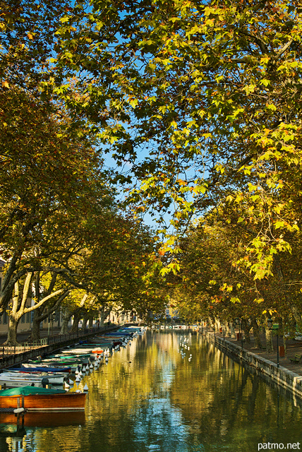 Photo du canal du Vass au bord du lac d'Annecy, surmont par des feuilles d'automne