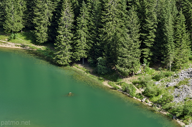 Image of water and forests at lake Benit