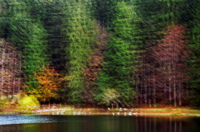 Abstract image of the autumn forest around lake Genin