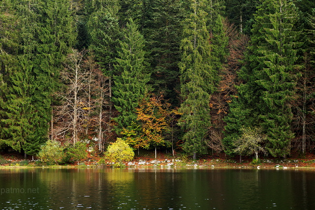 Photographie de l'automne sur les berges du lac Gnin dans le Haut Bugey