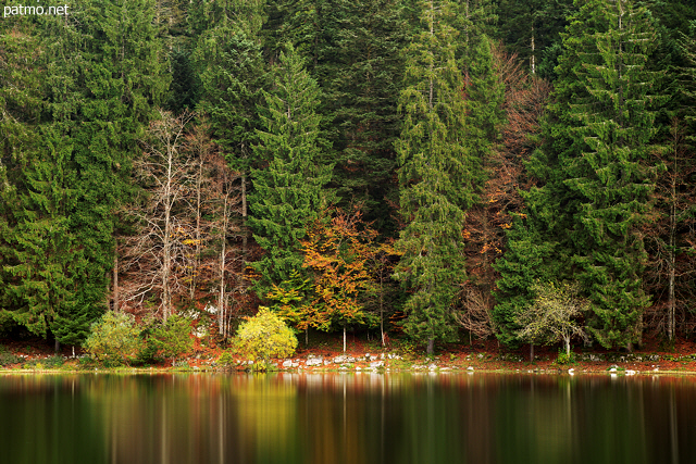 Photo de l'automne  sur la fort du lac Gnin dans l'Ain