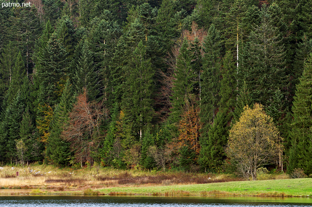 Photograph of the banks of Genin lake