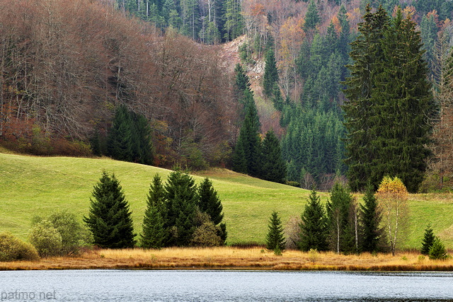 Photo des couleurs de l'automne autour du lac Gnin dans le Haut Bugey