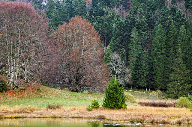 Photographie des couleurs d'automne sur le Petit Canada du Haut Bugey