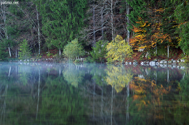 Photo of an autumn morning on the banks of lake Genin