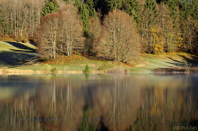 Photographie des couleurs d'automne sur les rives du lac Génin