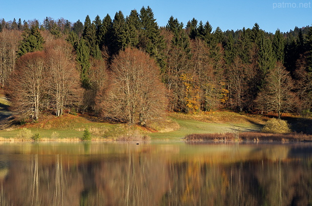 Photo d'un paysage d'autome autour du lac Génin dans le Haut Bugey
