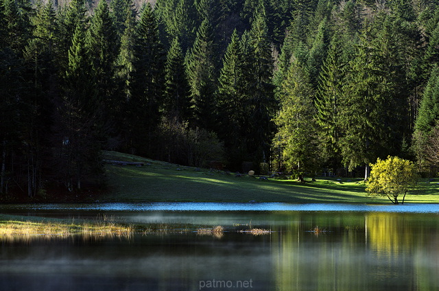 Photo d'ombre et de lumière autour du lac Génin