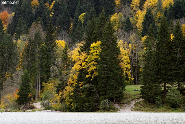 Image of the mountain forest in autumn on the banks of Vallon lake
