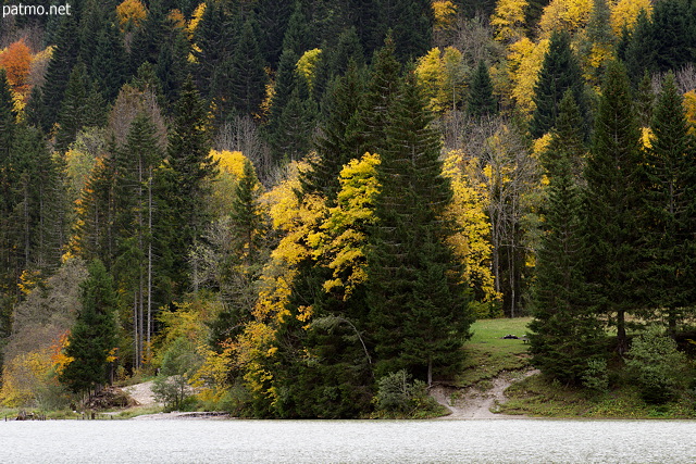 Image de la fort de montagne en automne au bord du lac de Vallon