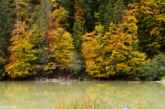 Photographie des couleurs d'automne dans la forêt au bord du lac de Vallon à Bellevaux
