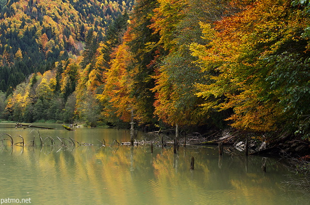 Image de l'ambiance et des couleurs d'automne sur les berges du lac de Vallon à Bellevaux