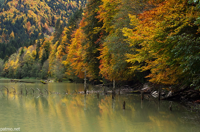 Image de l'ambiance et des couleurs d'automne sur les berges du lac de Vallon  Bellevaux