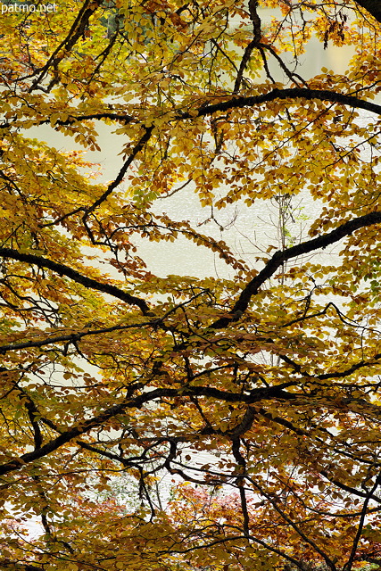 Picture of autumn foliage around lake Vallon in Bellevaux