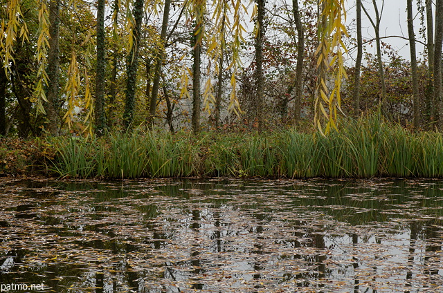 Photo des couleurs d'automne autour de l'tang  Chaumont Haute Savoie