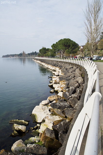 Photo de la Promenade au bord du Lac Lman  Thonon les Bains