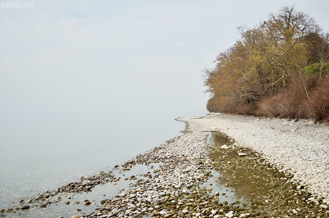 Photo de la cte sauvage du Lac Lman entre Thonon les Bains et de delta de la Dranse