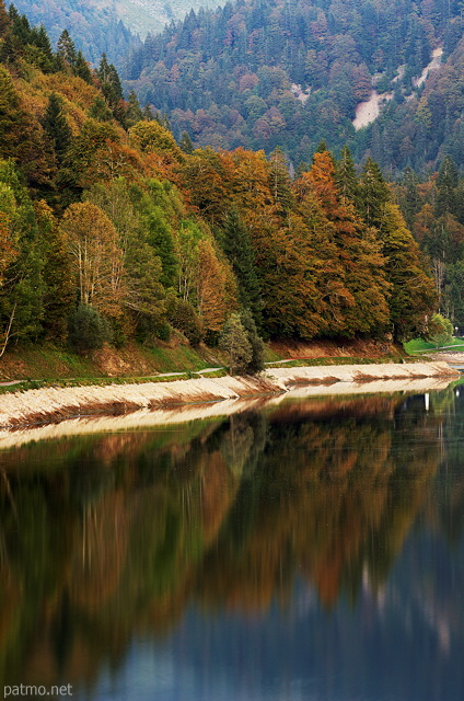Image de la forêt d'automne au bord du lac de Montriond en Haute Savoie