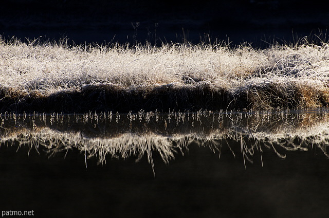 Image of the frosted banks of Genin lake in the light of the firs sunrays