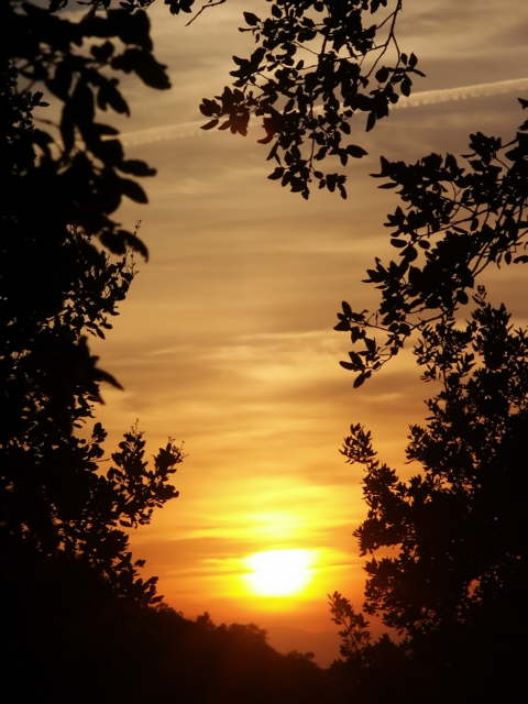 coucher de soleil massif des maures forts