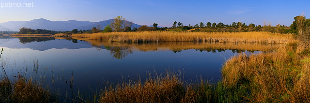 Image des bords du lac des Escarcets au petit matin dans le Massif des Maures