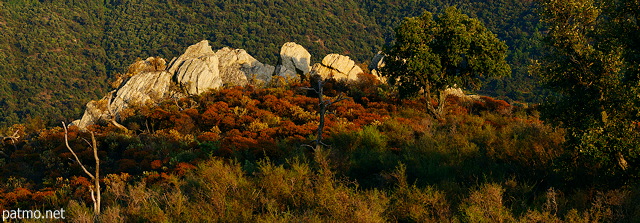 Photo des derniers rayons de soleil sur les crtes sauvages du Massif des Maures