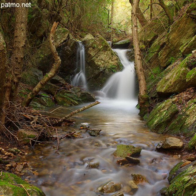 Image de cascade dans la fort du Massif des Maures