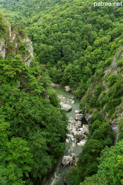 Photo du canyon de la rivière du Chéran à travers la forêt du Massif des Bauges