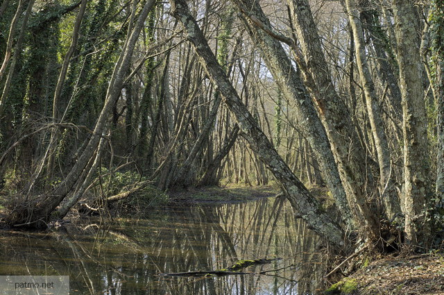 Image des rives du lac des escarcets