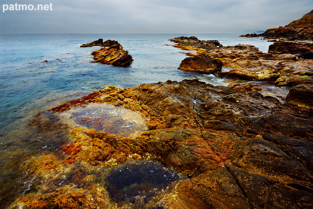 Paysage de la Mediterranee au petit matin - Le Pradet