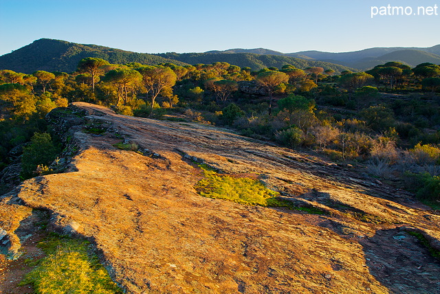 Photographie HDR d'un paysage de la Plaine des Maures en fin d'aprs midi