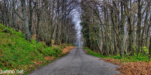 Photo HDR d'une route de montagne  travers la fort des Maures