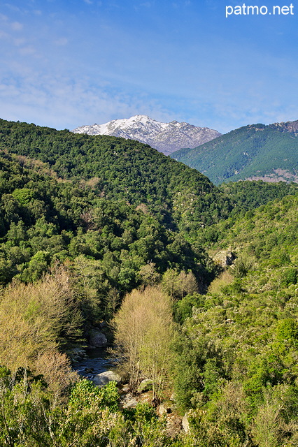 Photographie des montagnes de Haute Corse dans la valle de l'Abatesco