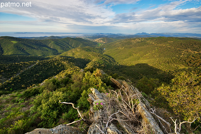 Paysage HDR du Massif des Maures au printemps