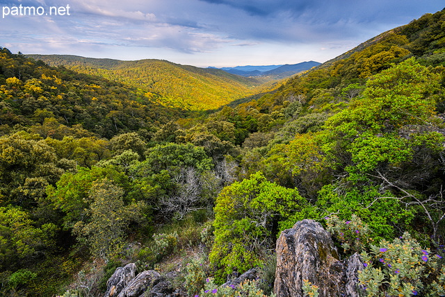 Paysage HDR de la fort du Massif des Maures sous les nuages