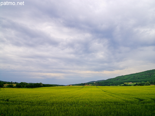 Photo HDR d'un champ de crales sous un ciel d'orage dans les Alpes de Haute Provence