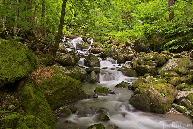 Photographie des Gorges du Bronze parsemes de petites cascades dans le Massif des Bornes