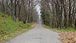 Photographie d'une petite route de montagne sur les crtes du Massif des Maures