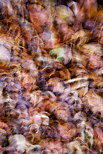 Abstract photo of autumn leaves