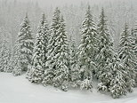 Photographie de chutes de neiges sur les picas de la fort de la Valserine