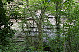 Photographie d'arbres adosss  une falaise de molasse dans le canyon du Castran