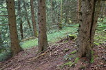 Image de la fort du Col de la Forclaz