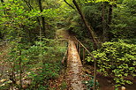 Photo d'une ancienne passerelle sur la rivire du Fornant en Haute Savoie