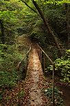 Photographie d'une passerelle mtallique au dessus  du Fornant - Haute Savoie