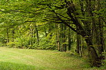 Image de la campagne de Haute Savoie au dbut de l'automne