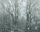 Photo de fort sous une tempte de neige en Haute Savoie