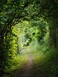 Photo du chemin vers Compostelle  Chaumont en Haute Savoie
