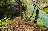 Image de la fort surplombant la rivire du Chran en Haute Savoie