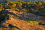 Photographie de la Plaine des Maures au crepuscule